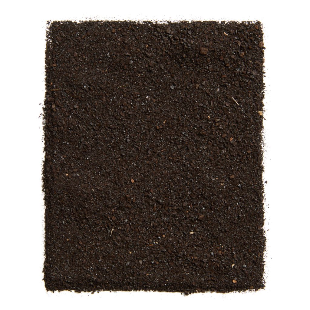 aglio nero fermentazione