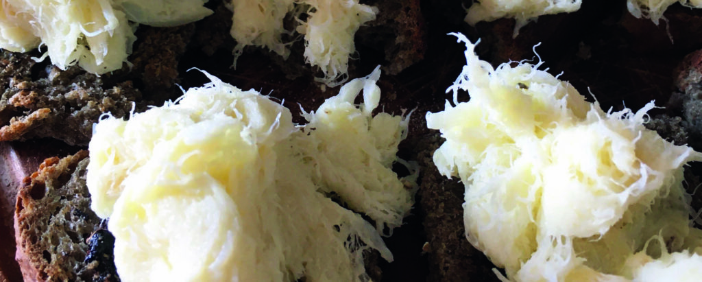 aglio nero biologico ricette crostini