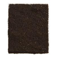 aglio nero fermentazione